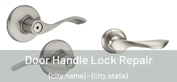 Door Handle Lock Repair (city.name) - (city.state)