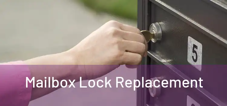  Mailbox Lock Replacement 