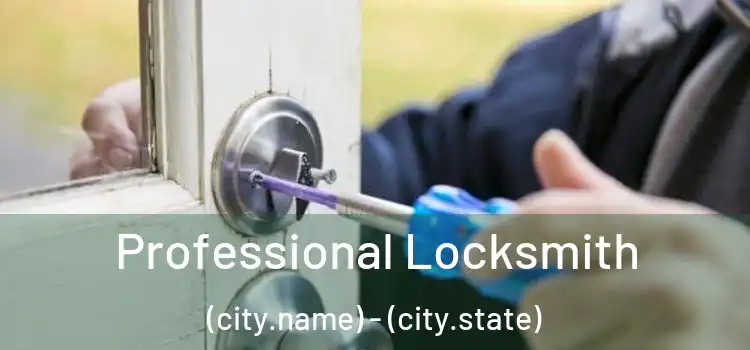  Professional Locksmith (city.name) - (city.state)